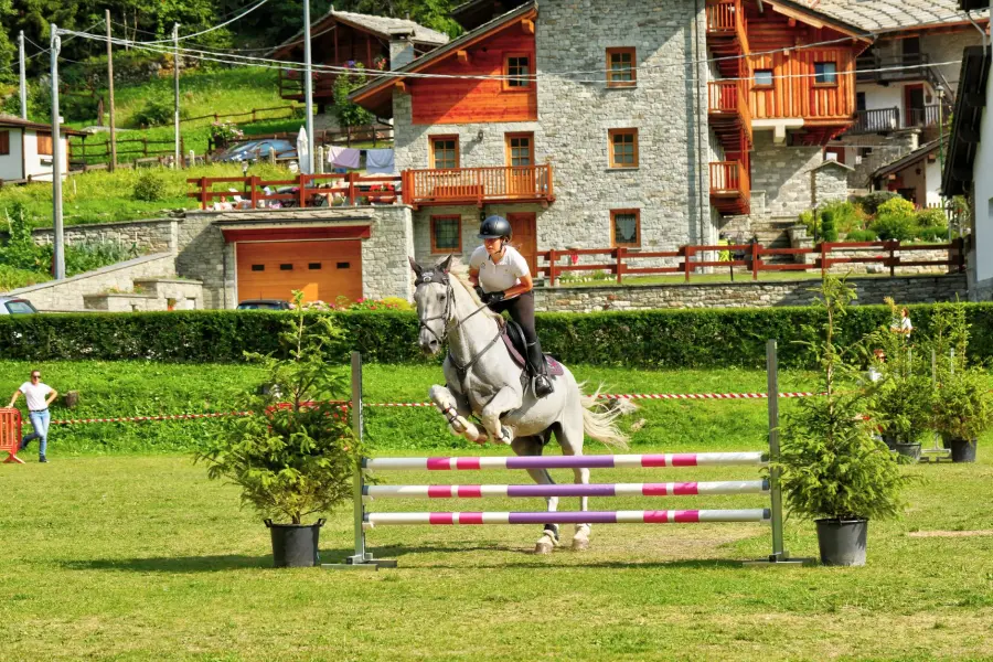 Come si svolge una gara di equitazione