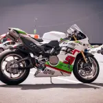 Superbike e MotoGP: differenze tra le due categorie